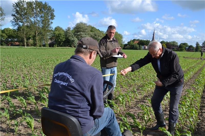 Bürgermeister Stefan Raap hat den Plan in der Hand, Bernd Staats misst die Strecke und Ewald Schmetjen mäht die Wege frei. Foto: Helfferich