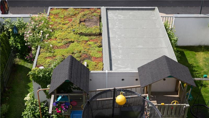 Mini-Haus bis Wohnpark: Das ist im Neubaugebiet Krummendeich geplant Bürgermeisterin Christiane von der Decken wünscht sich keine Flachdächer in Krummendeich (Symbolbild). Foto: dpa-Bildfunk