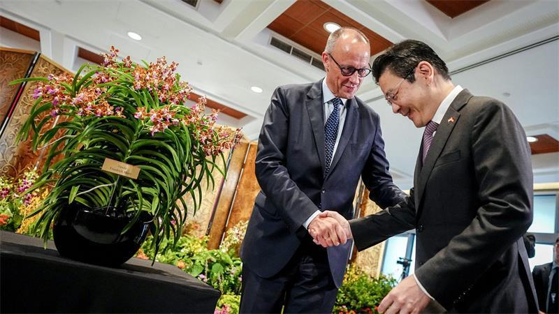 Bundeskanzler Friedrich Merz (CDU) steht neben einer Orchidee „Vanda - Friedrich Merz“ bei seinem Treffen mit Lawrence Wong, Premierminister der Republik Singapur.