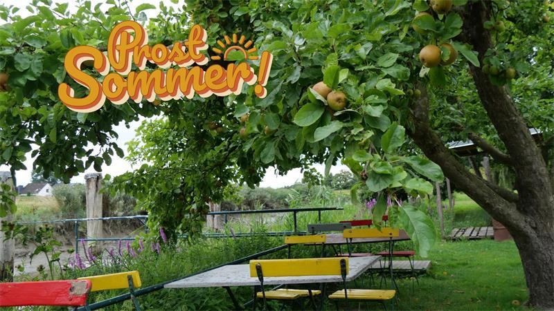 Bunte Stühle unter Obstbäumen laden in Hintzes Garten zum Verweilen ein. Einige der eisernen Gestelle stammen noch aus den Anfangstagen, Holz und Farbe wurden über die Jahrzehnte liebevoll erneuert.