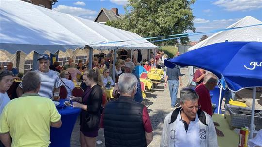 Buntes Treiben beim Hafenfest in Steinkirchen.