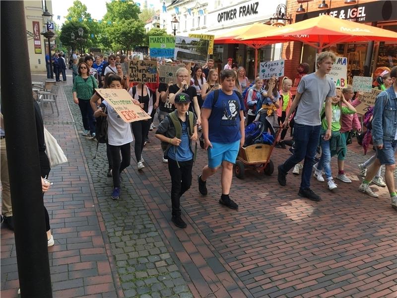 Buxtehuder Schüler demonstrieren. Foto: Wisser