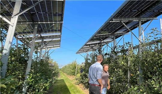 CDU und BVJ vermissen unter anderem ein Agri- und Freiflächen-Photovoltaik-Konzept im Klimaschutzkonzept der Samtgemeinden Lühe und Horneburg sowie der Gemeinde Jork.