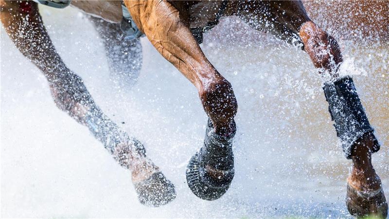 Bilder des Tages CHIO Aachen: Schweizer Philip Ryan meistert Wasserhindernis mit Amansara