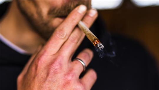 Cannabis darf ab Juli gemeinschaftlich angebaut werden - unter bestimmten Bedingungen.
