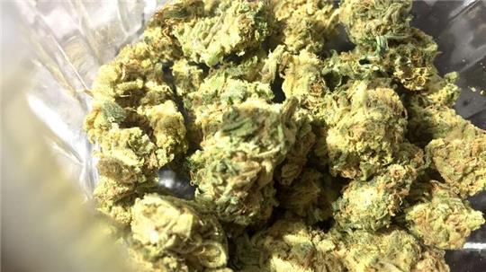 Cannabisblüten liegen in einem Glas.