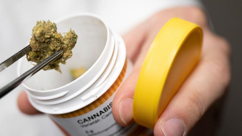 Cannabisblüten zur medizinischen Behandlung. Ab April könnten Ärzte medizinisches Cannabis leichter verschreiben.