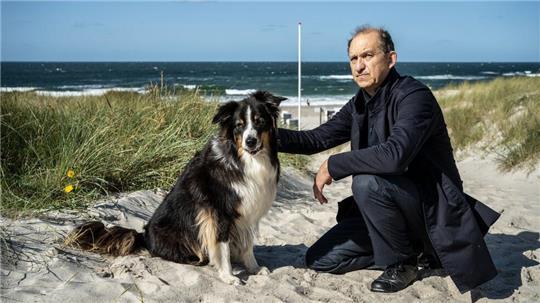 Carl Sievers versucht, das Vertrauen des scheuen Hundes Joker zu erlangen.