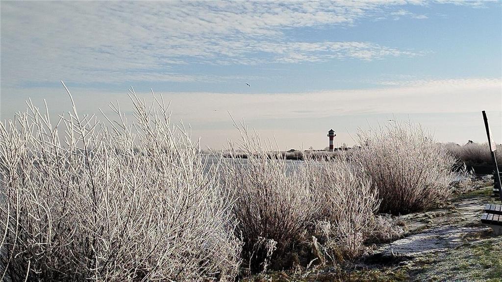 Caro Grell hat die winterliche Stimmung an der Elbe eingefangen. 