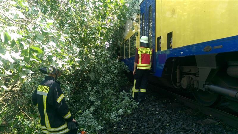 Chaos auf den Gleisen: Der Zug rast in einen Baum, den die Einsatzkräfte zersägen. Foto: Feuerwehr Burweg