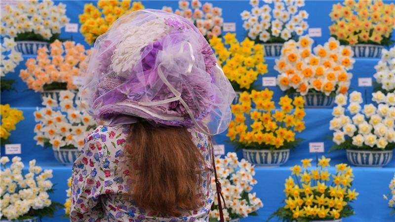 Chelsea Flower Show: Im Namen der Rose Chelsea Flower Show: Sehen und gesehen werden.