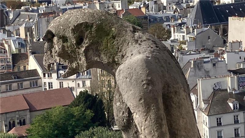 Chimären, die steinernen Mischwesen wachen über Notre-Dame.