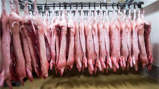 China erschwert mit Zöllen den Import von Schweinefleisch aus der EU. (Symbolbild)