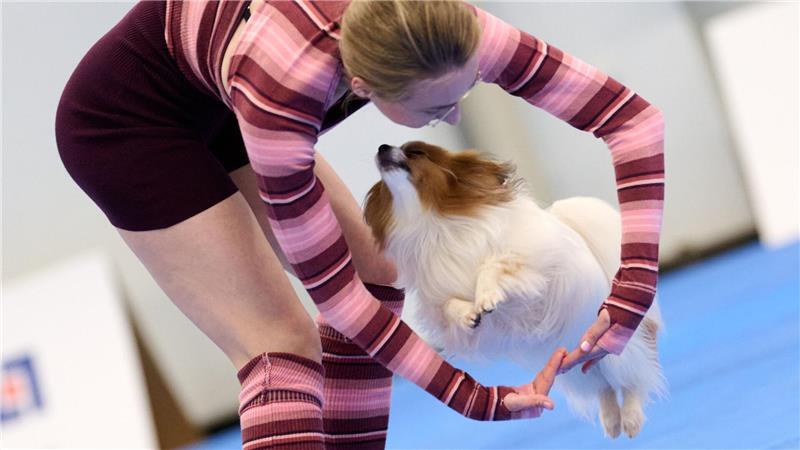 Choreografie auf Pfoten: Dog-Dancing-Stars begeistern mit Showeinlagen in Dortmund