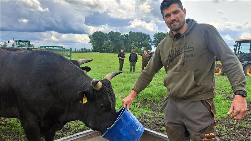 Krautsand im Fokus: NDR dreht Reportage über Rinderzüchter Christian von der Decken ist der neue Betriebsleiter auf der Krautsandfarm.