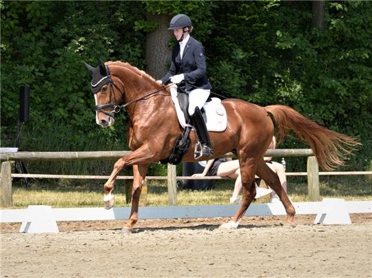 Christiane Peters, hier mit Florentina, startet elf Mal beim Turnier in Bargstedt. Foto: Fehlbus