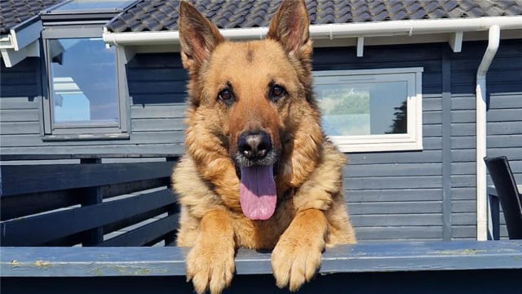 Christine: "Akan ist einzigartig, weil er so tollpatschig ist und er liebt es, i...