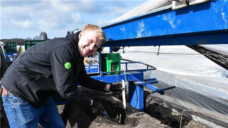 Christoph Werner präsentiert seine erste Spargelstange 2026. Es ist die 13. Kalenderwoche, die Spargelsaison ist eröffnet.