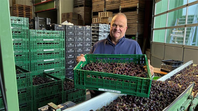 Claus Schliecker von der Bundesfachgruppe Obstbau aus Guderhandviertel schlägt Alarm. Kirschen und Äpfel werden weiterhin unter den Produktionskosten gehandelt.