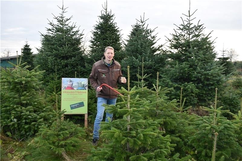 Cord Lefers aus Osterjork ist ein Exot: Der Demeter-Obstbauer setzt auf biozertifizierte Weihnachtsbäume. Foto: Vasel