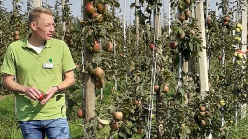 Apfelernte wird in Osterjork mit einem Hoffest bei Lefers gefeiert Cord Lefers wird beim Hoffest alle Fragen rund um den Obstbau beantworten.