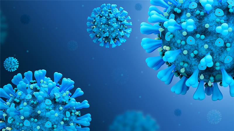 Coronavirus. Foto: Pixabay