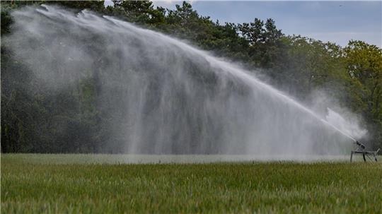 Damit die Ernte etwas wird: Immer mehr Landwirte müssen Beregnungsanlagen einsetzen.