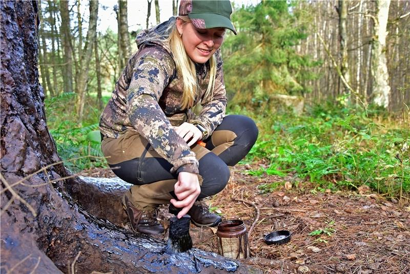 Warum immer mehr Frauen Jägerin werden Dammann-Tamke pinselt Buchenteer an einen Baumstamm. So lockt sie Wildschweine in die Nähe eines Hochsitzes.