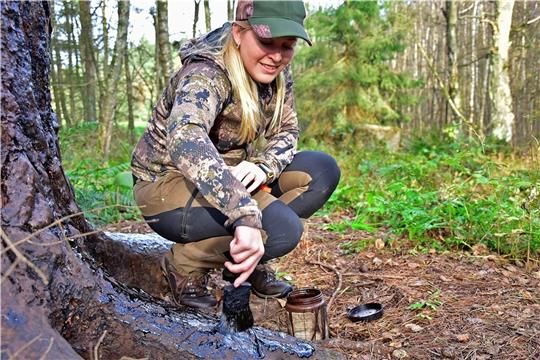 Dammann-Tamke pinselt Buchenteer an einen Baumstamm. So lockt sie Wildschweine in die Nähe eines Hochsitzes.