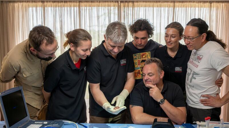 Forscher: Wichtiger Schritt bei Rettung von Nashorn-Art Daniel Cizmar (IZW, l-r), Susanne Holtze (IZW), Thomas Hildebrandt (IZW), Jan Stejskal (Zoo Dvur Kralove), Julia Bohner (IZW), Steven Seet (Conservation Research Fund) und Frank Göritz (IZW, sitzend) betrachten den durch künstliche Befruchtung erzeugten Embryo eines südlichen Breitmaulnashorns.
