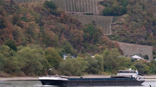 Dank Regens in Süddeutschland steigen die Rheinpegel wieder langsam, sind aber von Durchschnittswerten weit entfernt.