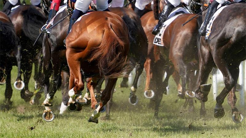 Das 157. deutsche Galopp-Derby endete mit einer Sensation. (Archivbild)
