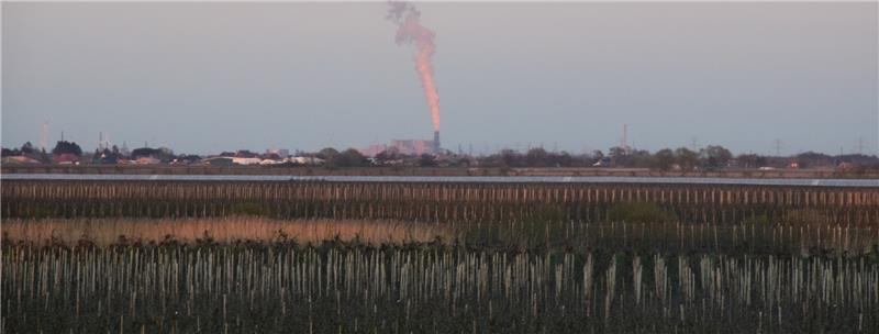 Das Alte Land und Horneburg wollen ihren Beitrag zum Klimaschutz leisten und die 289 000 Tonnen CO2, die sie im Jahr 2012 erzeugten, im Jahr 2020 um 20 Prozent reduziert haben. Zum Vergleich: Das Kohlekraftwerk Moorburg auf Hamburger Gebiet