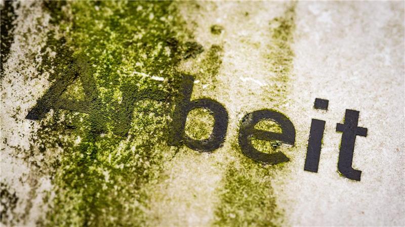 Negative Signale vom deutschen Arbeitsmarkt Das Arbeitsmarktbarometer des Instituts für Arbeitsmarkt- und Berufsforschung (IAB) ist zum siebten Mal in Folge gesunken (Symbolbild).