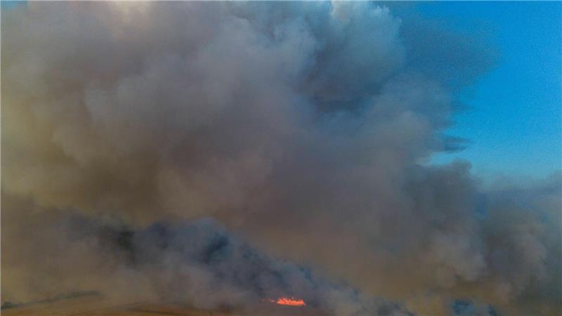 Mehrere Waldbrände halten Feuerwehren im Osten in Atem Das Areal wurde früher als Truppenübungsgelände genutzt.