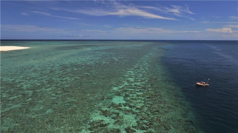 Riff am Limit: Great Barrier Reef verliert massiv Korallen Das Australian Institute of Marine Science (AIMS) untersucht das Great Barrier Reef seit vielen Jahren.