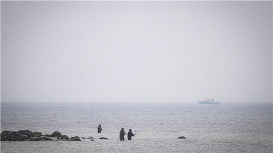 Das Boot „Uecker“ von der Wasserschutzpolizei sucht den Wal an der Ostseeküste. 