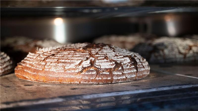 Taylor-Swift-Effekt? Sauerteig auf Höhenflug Das Brot ist auch bei Promis gefragt.