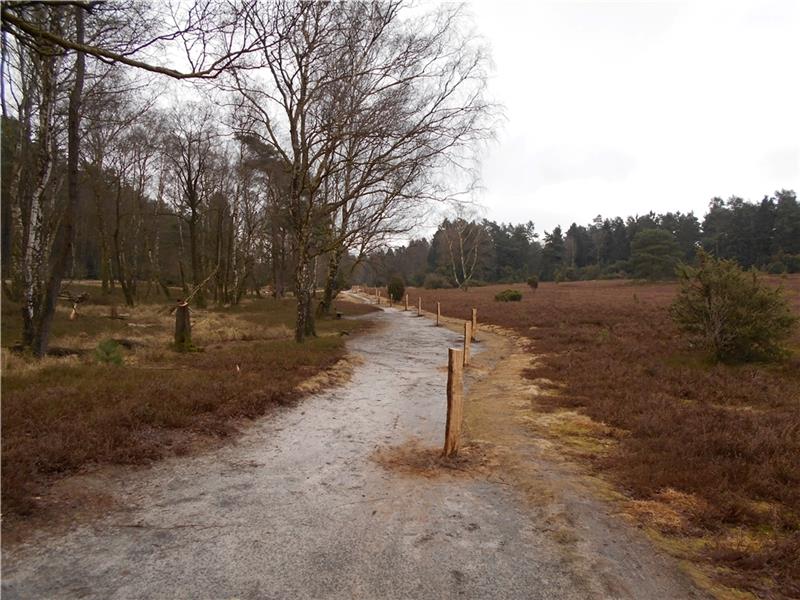 Das Büsenbachtal gehört zu den beliebtesten Ausflugsgebieten im Kreis Harburg. Nur selten ist es so menschenleer wie hier. Foto: LKH