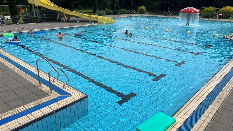 Das Bützflether Freibad bietet viele verschiedene Wasserbecken - vom Planschbecken bis hin zum Fünfmetersprungturm.