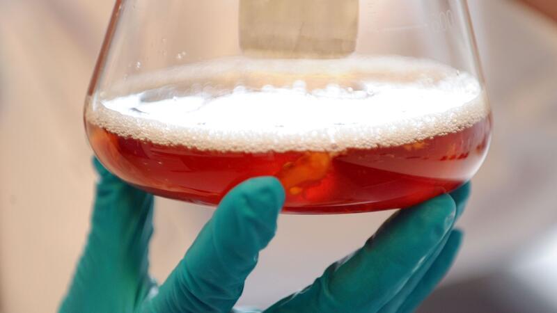 Reform für bessere Arbeitsbedingungen in der Wissenschaft Das Bundeskabinett hat eine Reform des sogenannten Wissenschaftszeitvertragsgesetzes auf den Weg gebracht (Symbolbild).