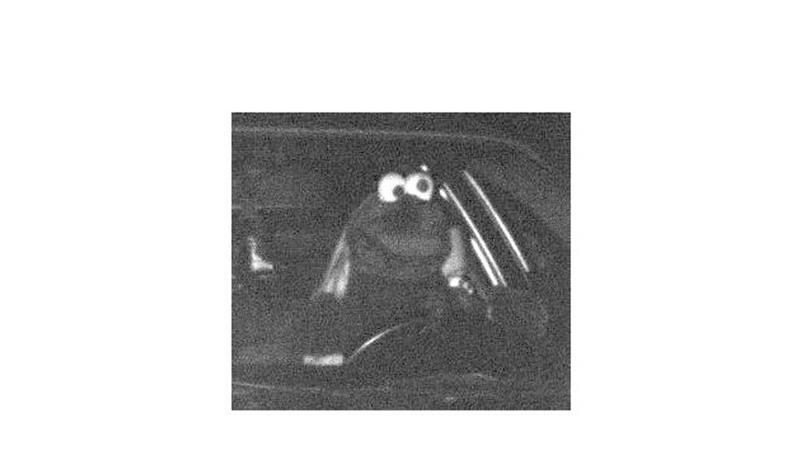 Das Bußgeld für das geblitzte „Krümelmonster“ wurde bezahlt. (Archivbild)