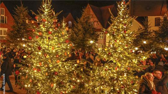Das Buxtehuder Wintermärchen ist noch bis zum 29. Dezember geöffnet.