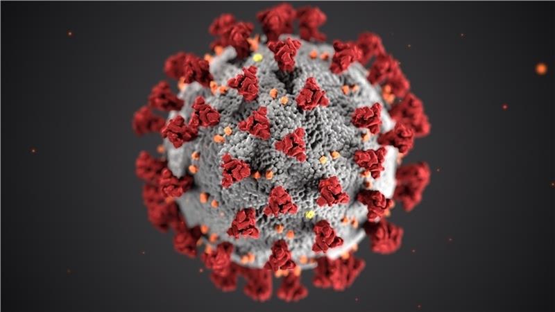 Corona-Inzidenz im Kreis Stade steigt leicht – Ein weiterer Todesfall Das Coronavirus : Ärosole spielen bei der Übertragung eine zentrale Rolle.