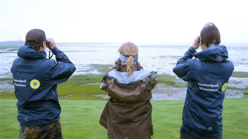 Das Einsatzrevier der Nationalpark-Ranger im Wattenmeer soll nach Plänen der Landesregierungen ausgeweitet werden. (Archivbild)