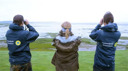 Das Einsatzrevier der Nationalpark-Ranger im Wattenmeer soll nach Plänen der Landesregierungen ausgeweitet werden. (Archivbild)