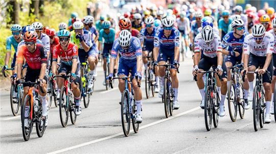 Das Fahrerfeld startet bei den Cyclassics an der Hamburger Außenalster.