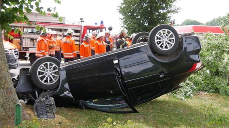 Das Fahrzeug landete unmittelbar neben einem weiteren dicken Baum.
