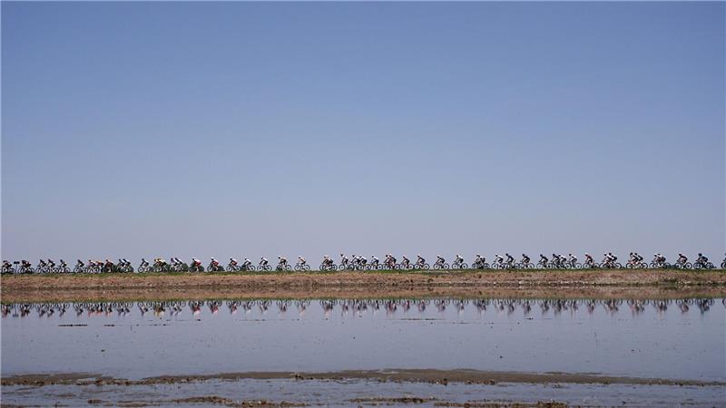 Das Feld der Fahrer durchquert Reisfelder beim Giro d’Italia auf der 13. Etappe.
