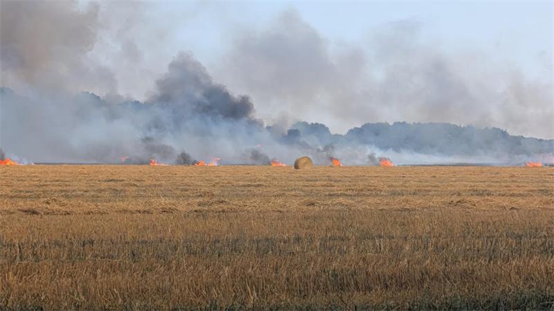 Großeinsatz im Kreis Harburg: Ballenpresse setzt Feld in Brand Das Feuer breitet sich in Richtung Wald aus.
